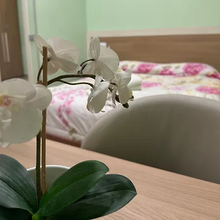 Apartment Magiola